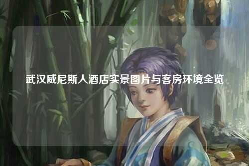 武汉威尼斯人酒店实景图片与客房环境全览