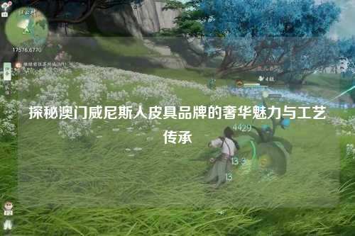 探秘澳门威尼斯人皮具品牌的奢华魅力与工艺传承