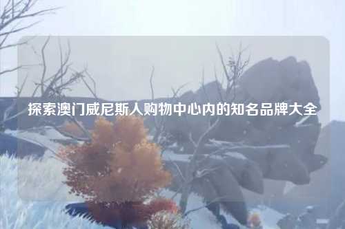探索澳门威尼斯人购物中心内的知名品牌大全