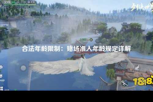 合法年龄限制：赌场准入年龄规定详解