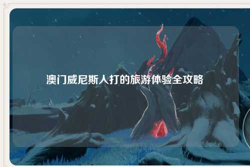 澳门威尼斯人打的旅游体验全攻略