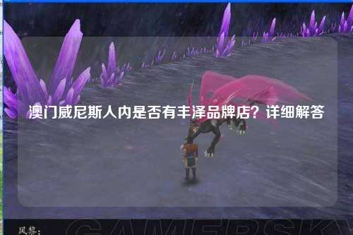 澳门威尼斯人内是否有丰泽品牌店？详细解答