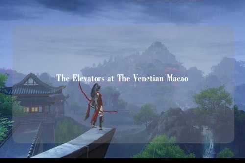 The Elevators at The Venetian Macao